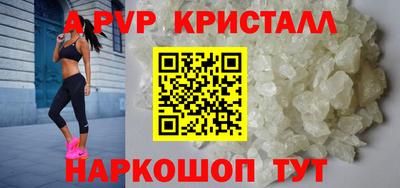 стафф Краснознаменск