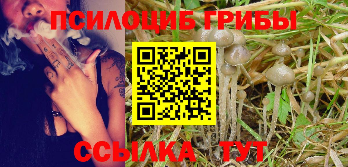 Канаш  Псилоцибиновые грибы GOLDEN TEACHER  Вход с VPN 